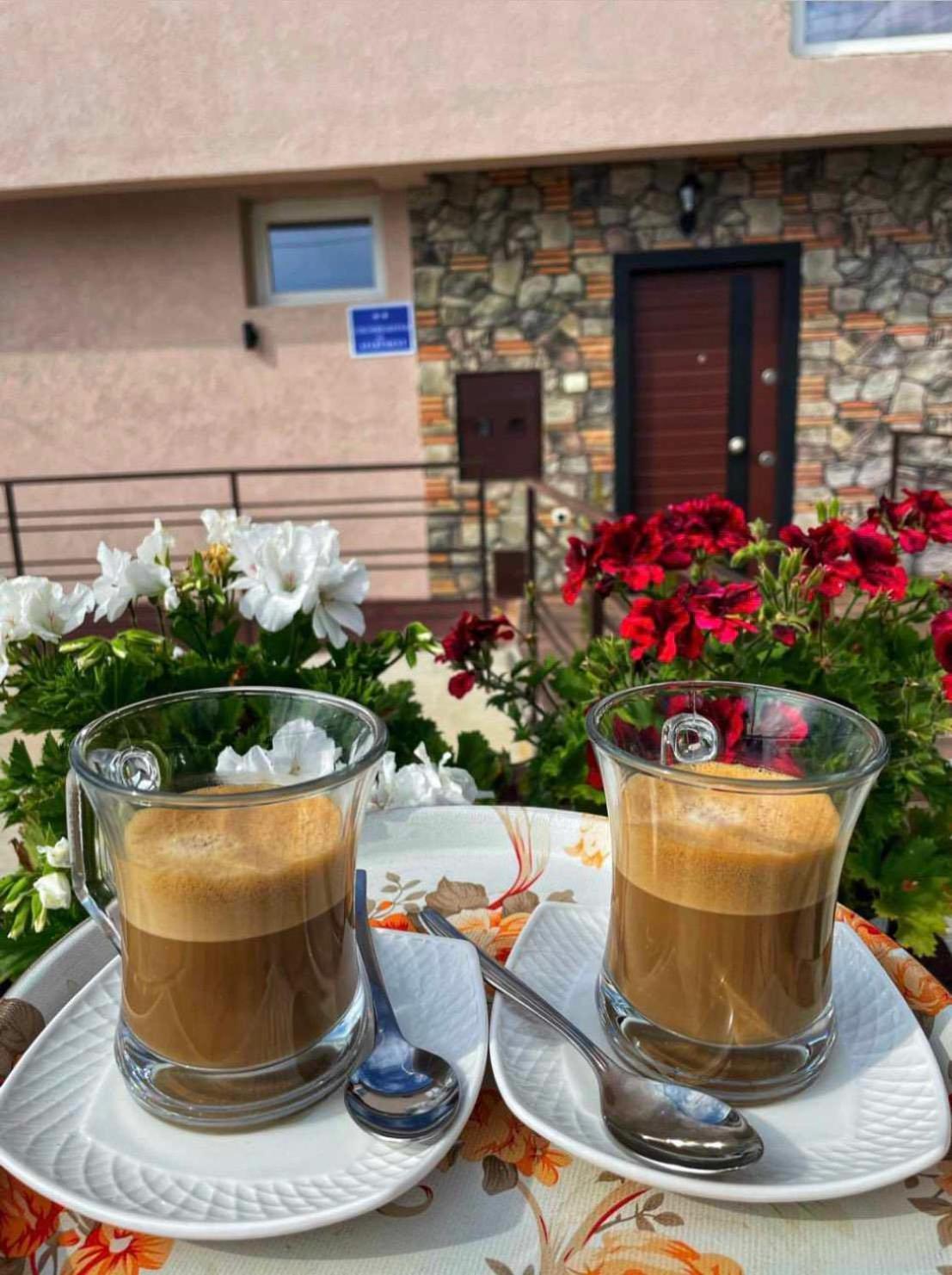 Gopo Guesthouse Elshani Екстер'єр фото