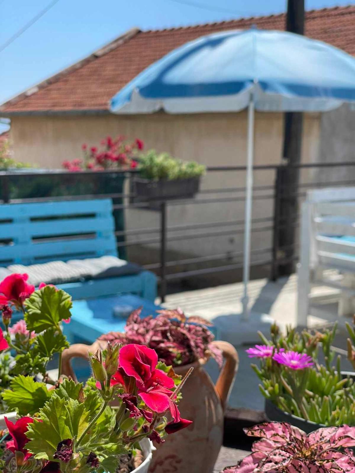 Gopo Guesthouse Elshani Екстер'єр фото